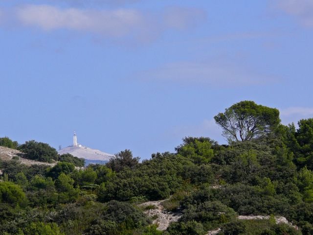 Vaucluse 2010 04