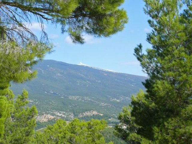 Vaucluse 2010 05