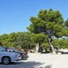 Vaucluse 2010 03