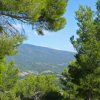 Vaucluse 2010 05