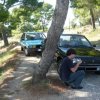 Vaucluse 2010 20