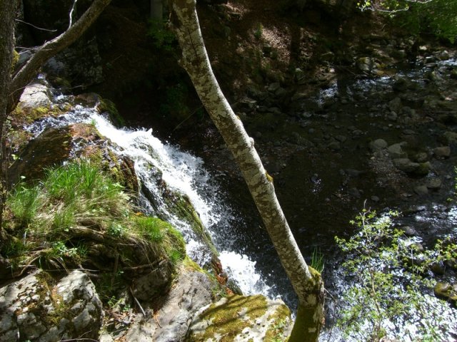 Lozère 2011 14