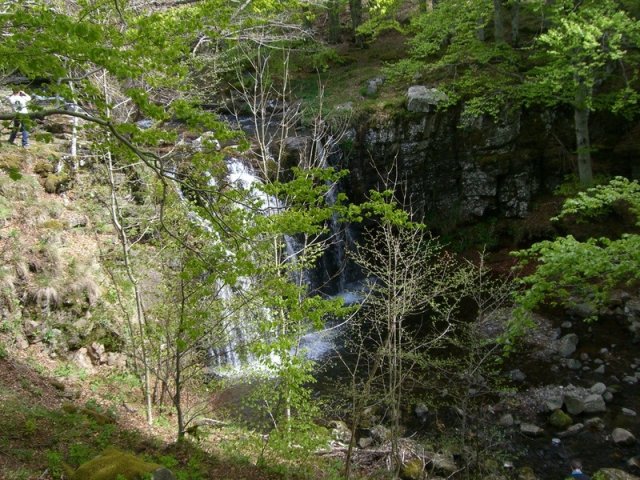 Lozère 2011 15