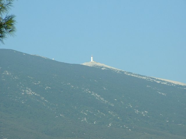 Vaucluse 2011 10