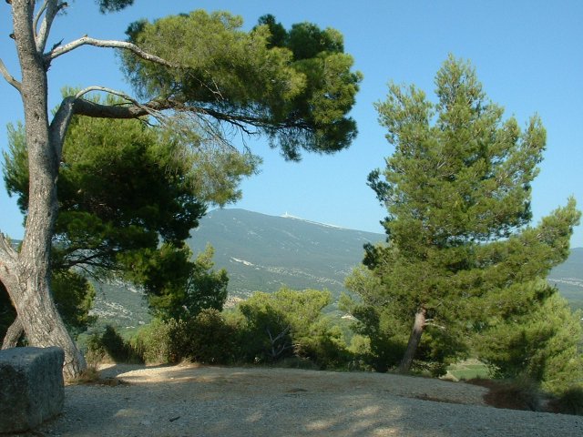 Vaucluse 2011 11