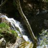 Lozère 2011 14