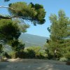 Vaucluse 2011 11
