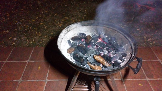 IMG-20190920-WA0020